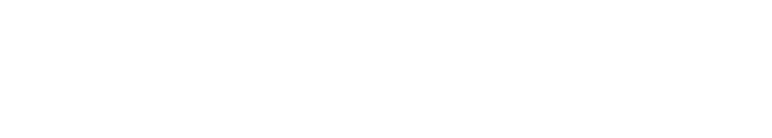 eviden-white logo