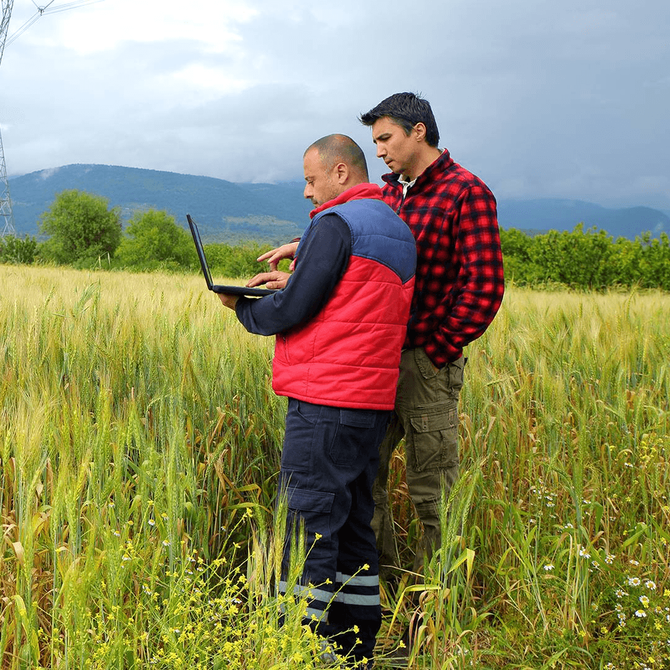 two people working outdoors