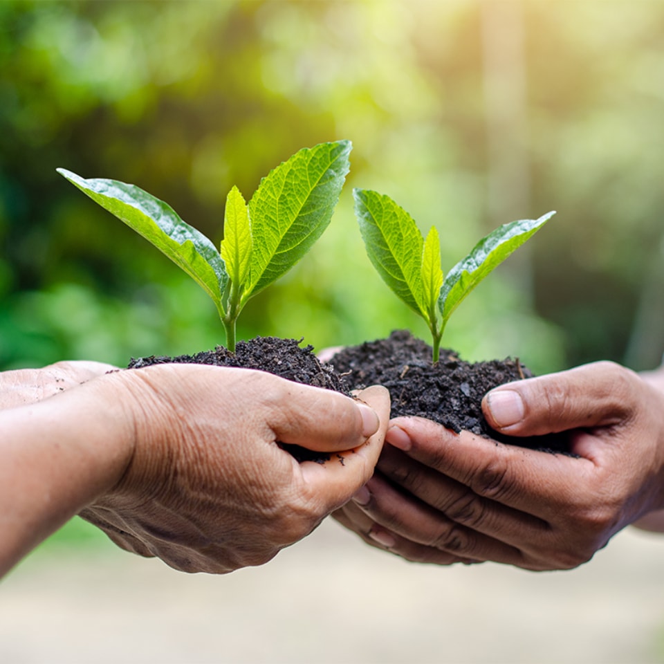 A sustainability data platform to empower financial decisions